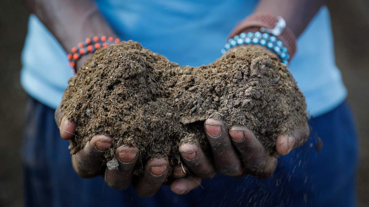Russian War Worsens Fertilizer Crunch, Risking Food Supplies – NBC4 Washington - Vimarsana News