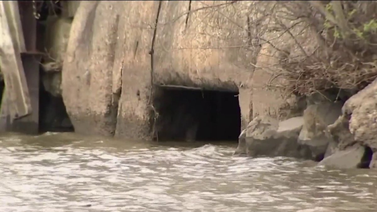 Would You Swim in DC’s Rivers? Plans Underway to Lift Ban NBC4 Washington