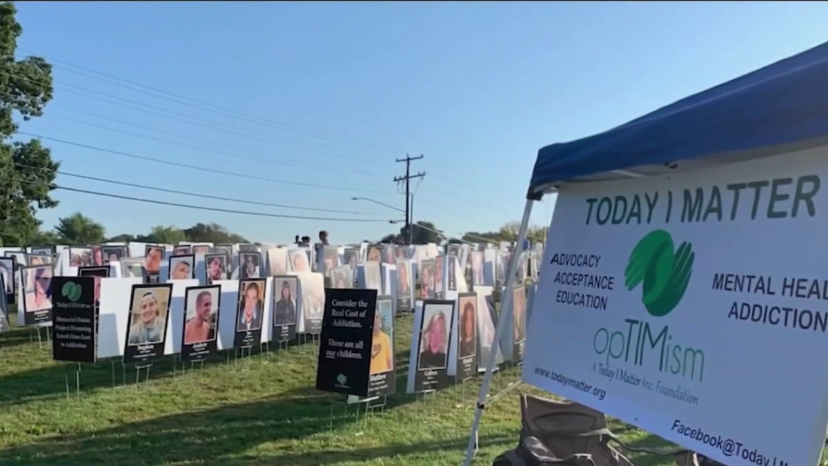 Memorial Poster Project on National Mall Remembers Victims of Opioid Epidemic - Vimarsana News