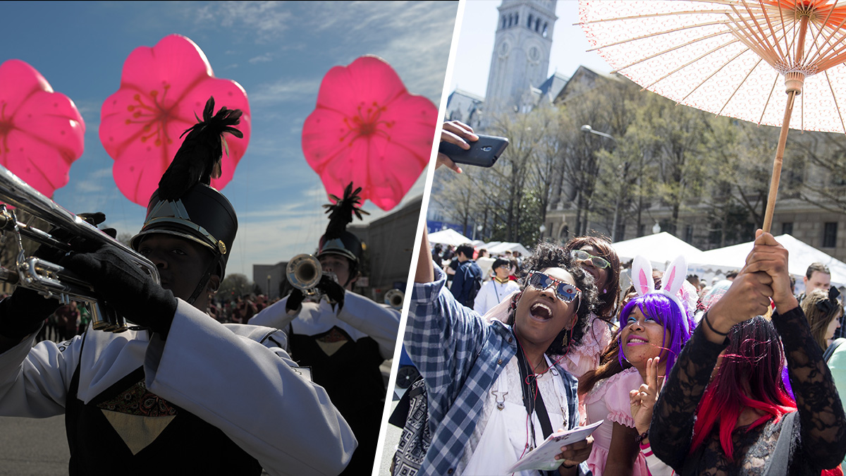 桜のパレード、日本のストリートフェスティバルがDC2022に戻る-NBC4ワシントン