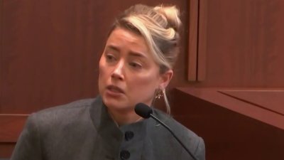 2022 New Amber Heard Johnny Depp Resumes amber heard family pictures