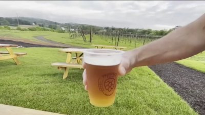Family Able to Open Maryland Brewery After COVID Delays