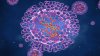 Monkeypox Case Identified in Virginia: CDC