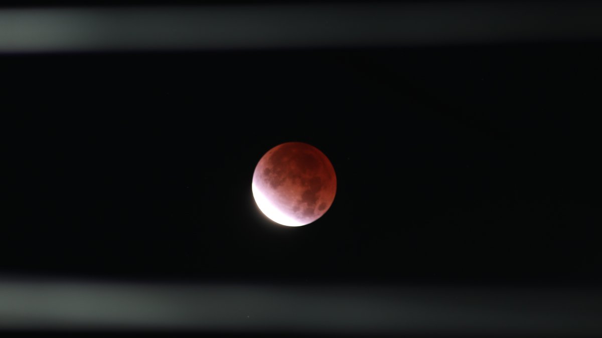 What the Super Flower Blood Moon Is and How to Watch It NBC4 Washington