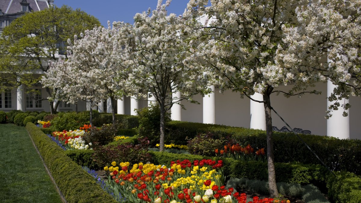 Estate Sale Features Items Kept by Longest-Serving White House Gardener - Vimarsana News