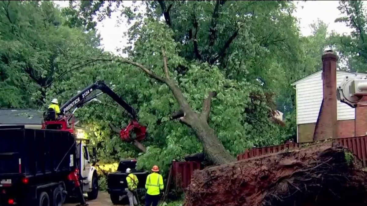 Severe Storms Knock Down Trees, Flood Roads