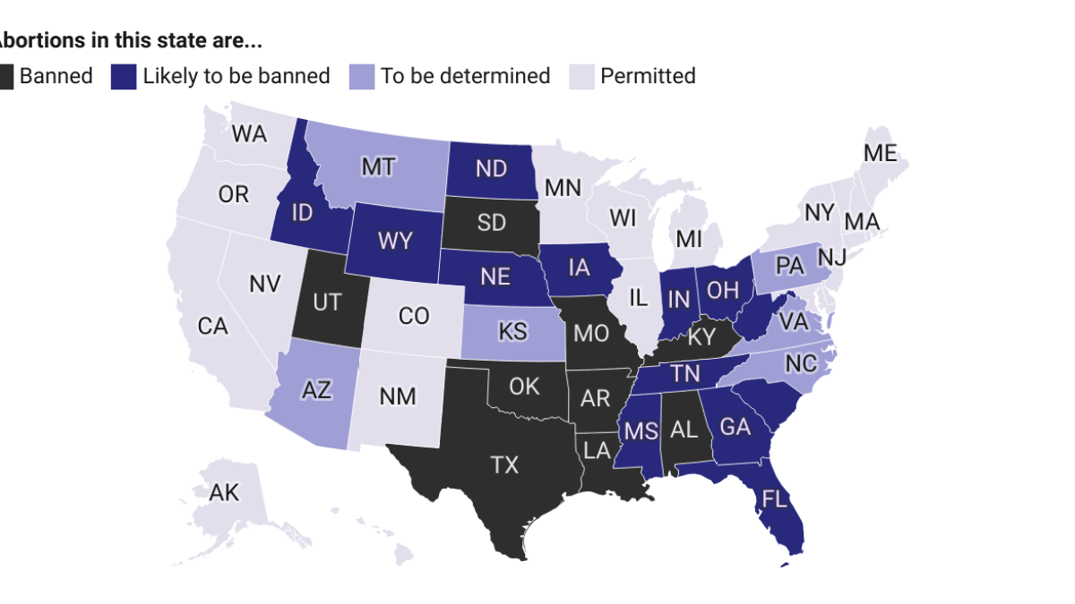 A StatebyState Guide to Abortions Laws in the U.S. NBC4 Washington