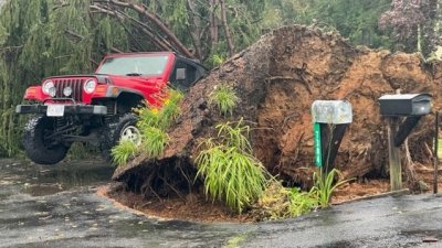 Communities Clean Up After Powerful Storm