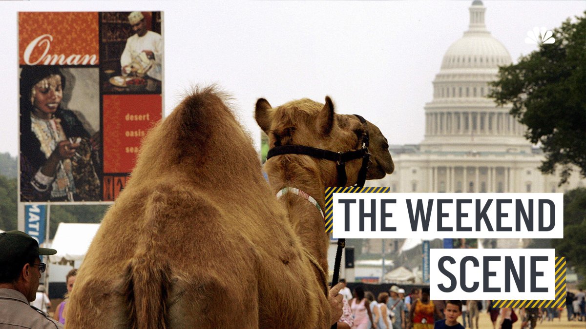 10+ Things to Do in the DC Area Now That It's Officially Summer – NBC4 Washington - Vimarsana News