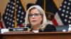 Liz Cheney Braces for Loss as Donald Trump's Influence Is Tested in Wyoming and Alaska