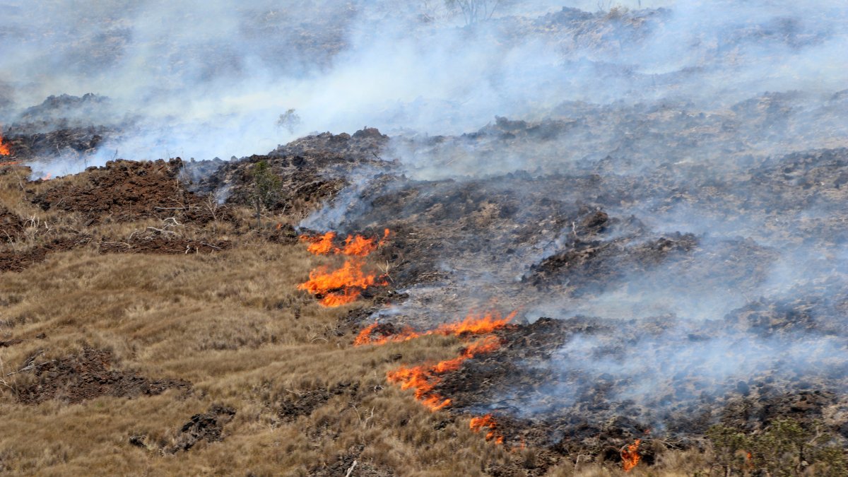 Large Wildfire Burning Amid Drought on Hawaii's Big Island - Vimarsana News