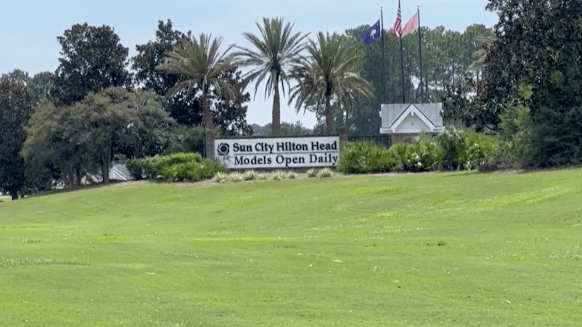 88-Year-Old Killed in Alligator Attack Near Hilton Head, South Carolina – NBC4 Washington - Vimarsana News