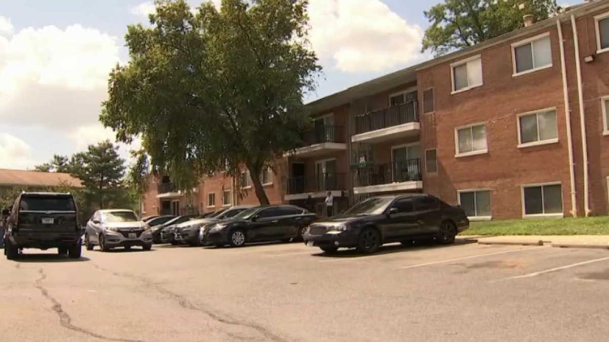 Residents Report Mold, Mouse Infestation in District Heights Apartments