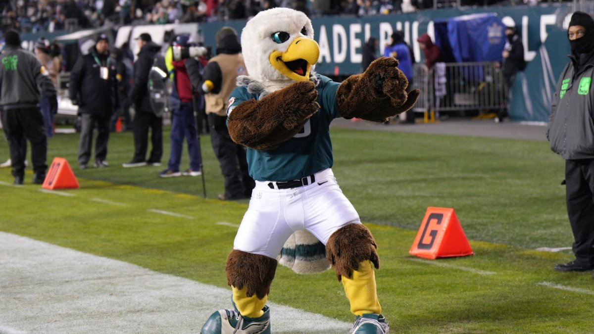 NFL Mascots How much do they make and how many are there?