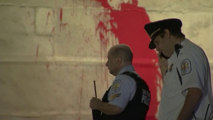Man Arrested in Washington Monument Vandalism