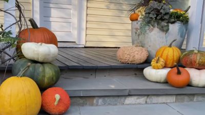 How to Prepare Your Garden, Front Porch for Fall