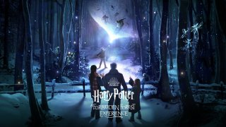 Harry Potter: A Forbidden Forest Experience