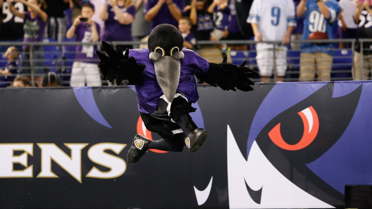 Ravens Mascot, Poe, suffers possible torn ACL in youth football