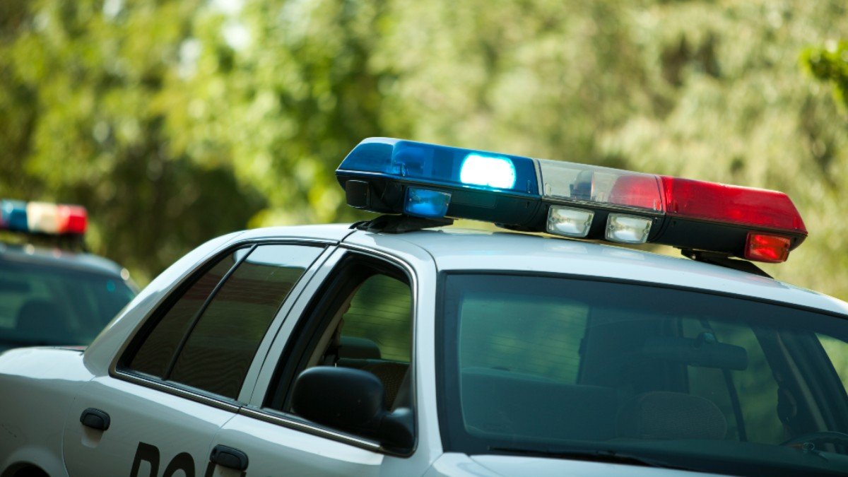 Man Charged in Shooting at Harrisonburg Gathering: Police – NBC4 Washington