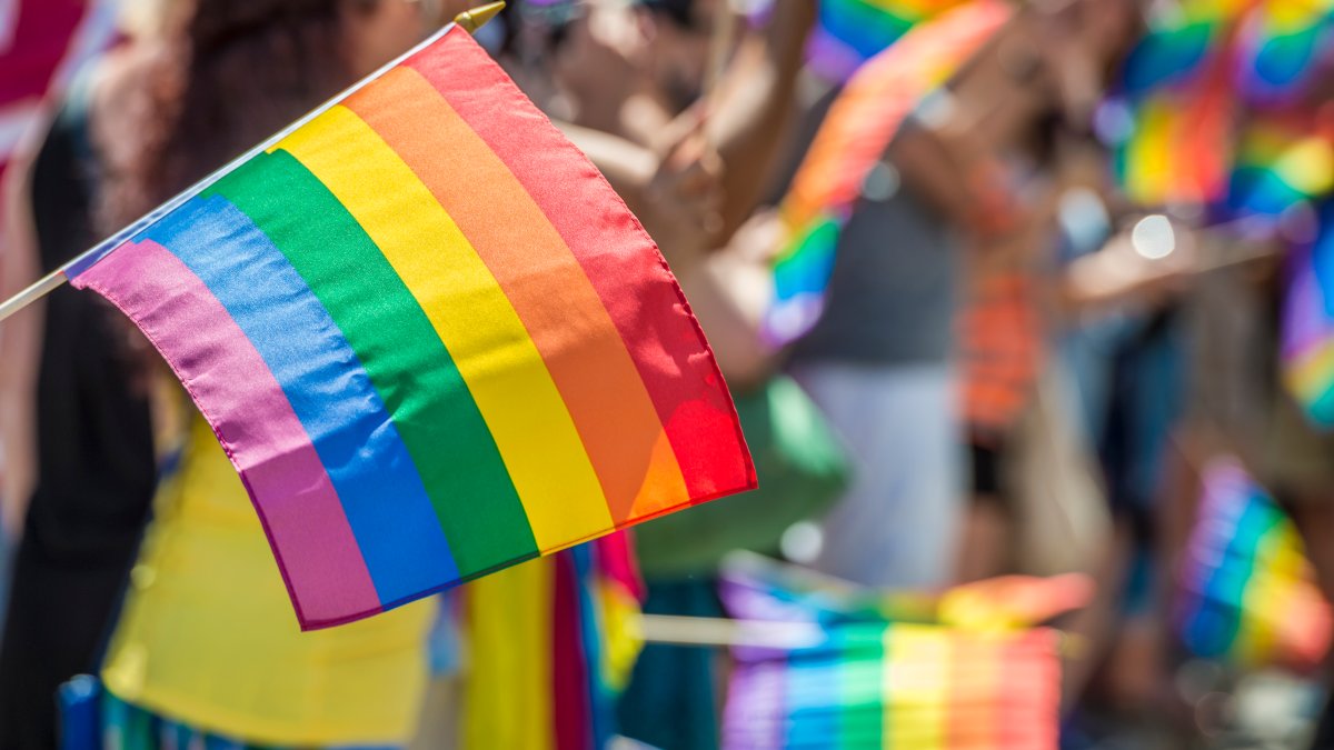 National Coming Out Day 2023: What is it and how to celebrate – NBC4 Washington - Vimarsana News