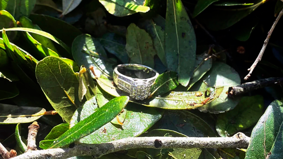 Lost Wedding Ring Found in Brush Pile After Hurricane Ian – NBC4 Washington
