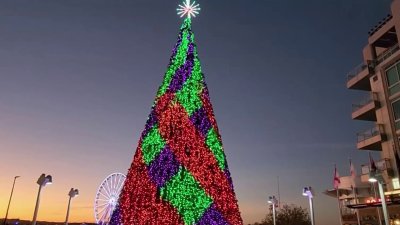 The Weekend Scene: Things to Do This Veterans Day Weekend Nov. 11-13