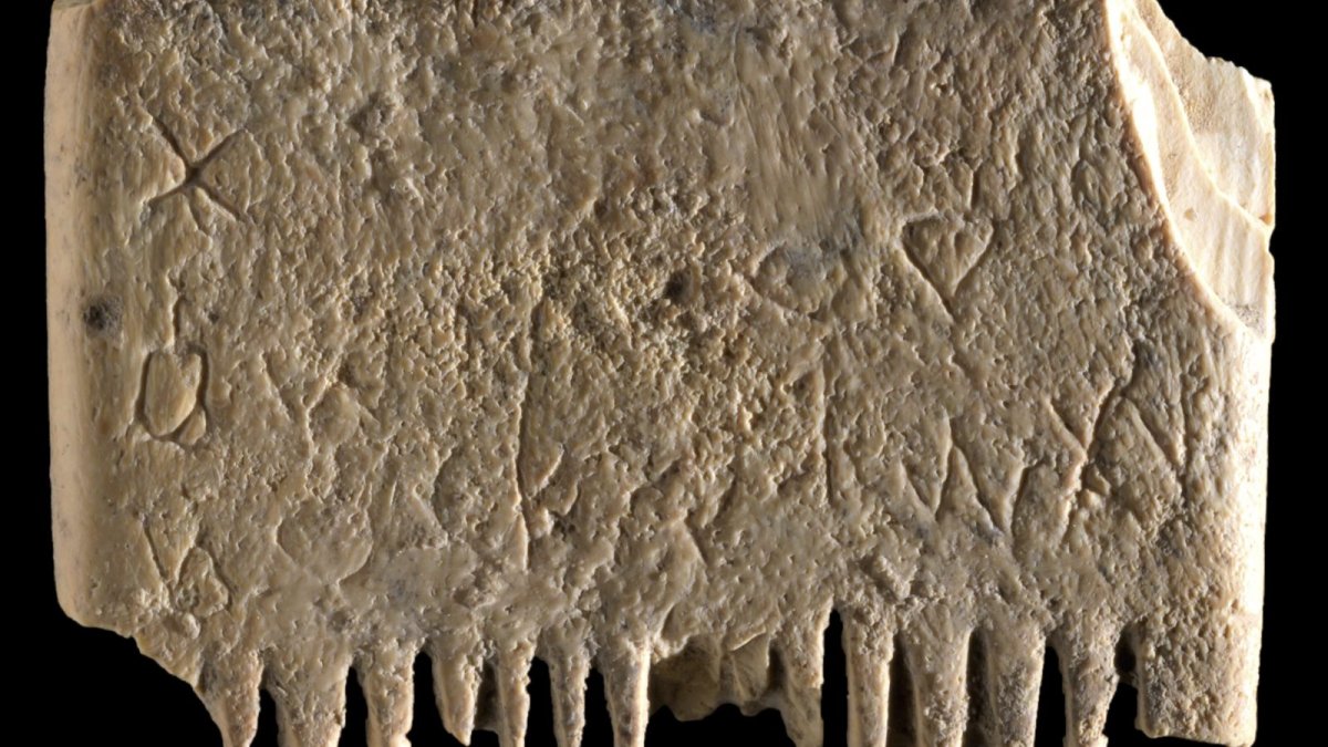 Archaeologists in Israel Find Ancient Comb With an Important Message About Lice – NBC4 Washington - Vimarsana News