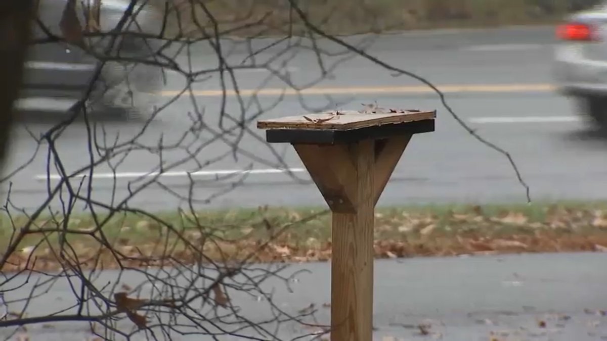 Library Explosion Community Library Box in Arlington Destroyed in Explosion – NBC4 Washington