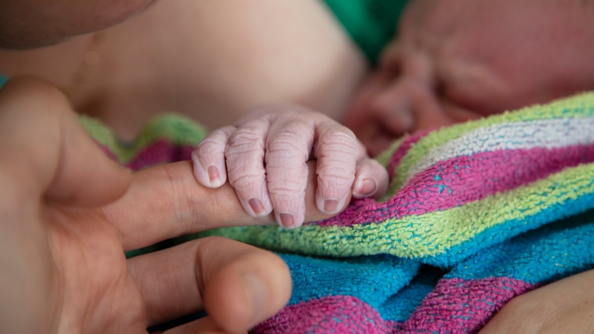 Home Births Increased in the US During COVID-19, Data Shows – NBC4 Washington - Vimarsana News