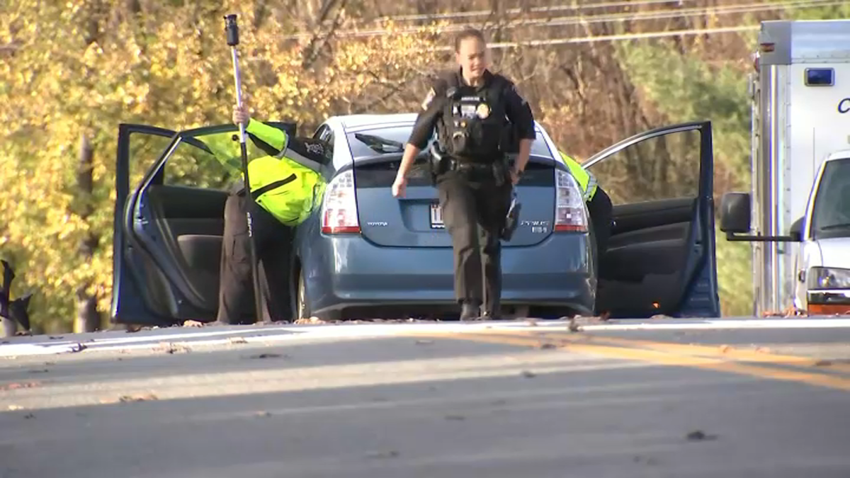 Driver Charged in Deaths of Couple Hit Near Montgomery County Voting Center - Vimarsana News
