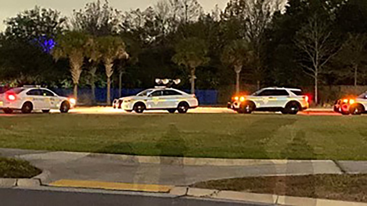 Zookeeper Injured During Bear Attack at Jacksonville Zoo – NBC4 Washington - Vimarsana News