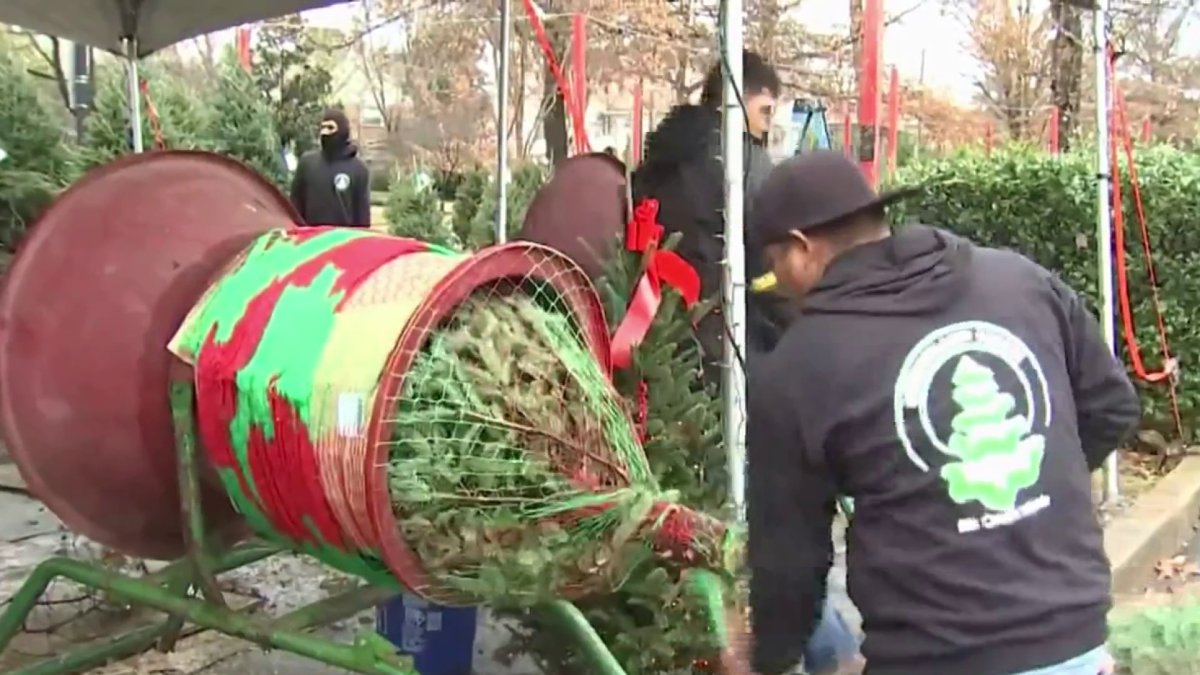Higher Prices Don’t Keep People From Buying Christmas Trees in the DMV
