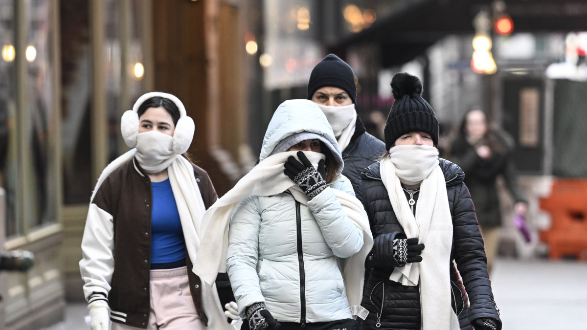 Frigid Monster Storm Across US Claims at Least 24 Lives - Vimarsana News