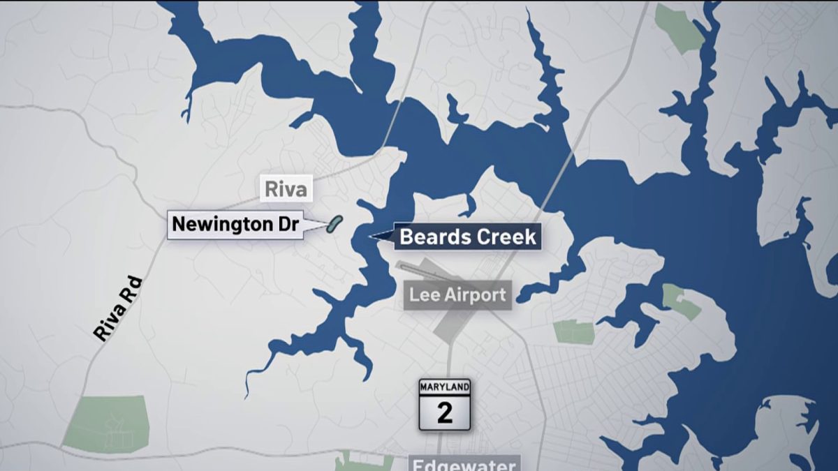 Kayakers Rescue Downed Pilot From Icy Creek After Crash NBC4 Washington