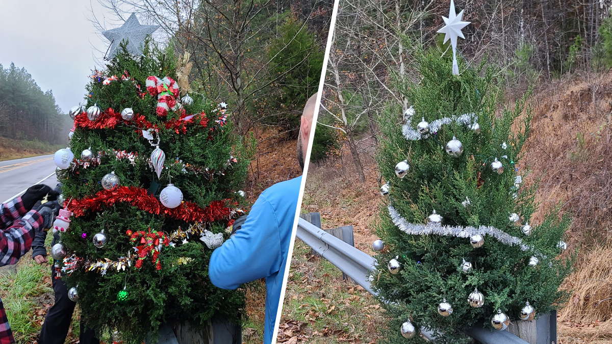 A Family Decorated a Roadside Tree for Christmas. After It Was Cut Down, They Wanted Answers