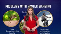 DC's Warmer Winter Part of a National Trend