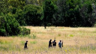 Local community police group search for a tiger, that escaped from its enclosure, in Walkerville, south of Johannesburg, South Africa, Monday, Jan. 16, 2023.
