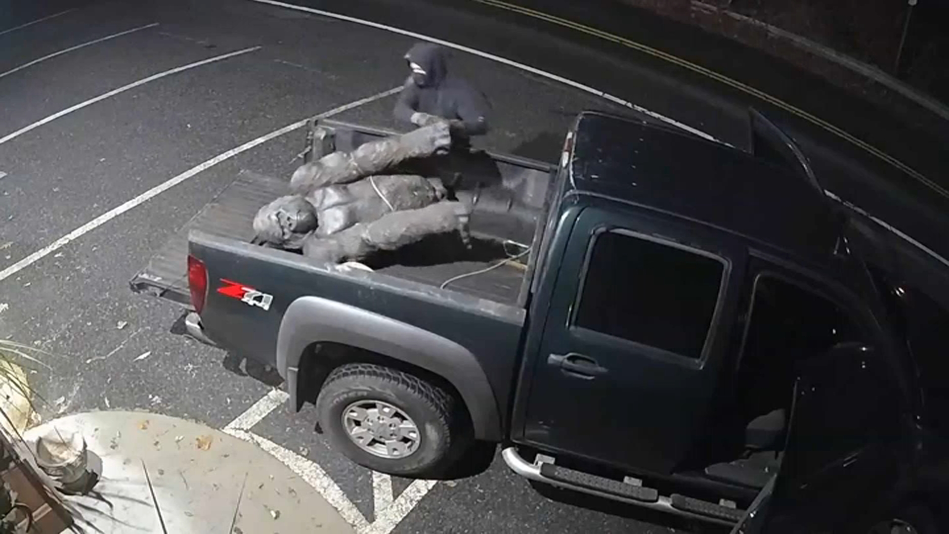 Video: Suspect Steals Gorilla Statue From Maryland Antique Shop – NBC4 ...