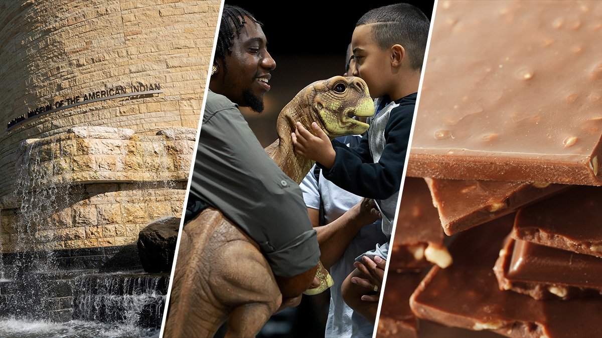 15+ Things to Do This Weekend Around Washington DC – NBC4 Washington - Vimarsana News