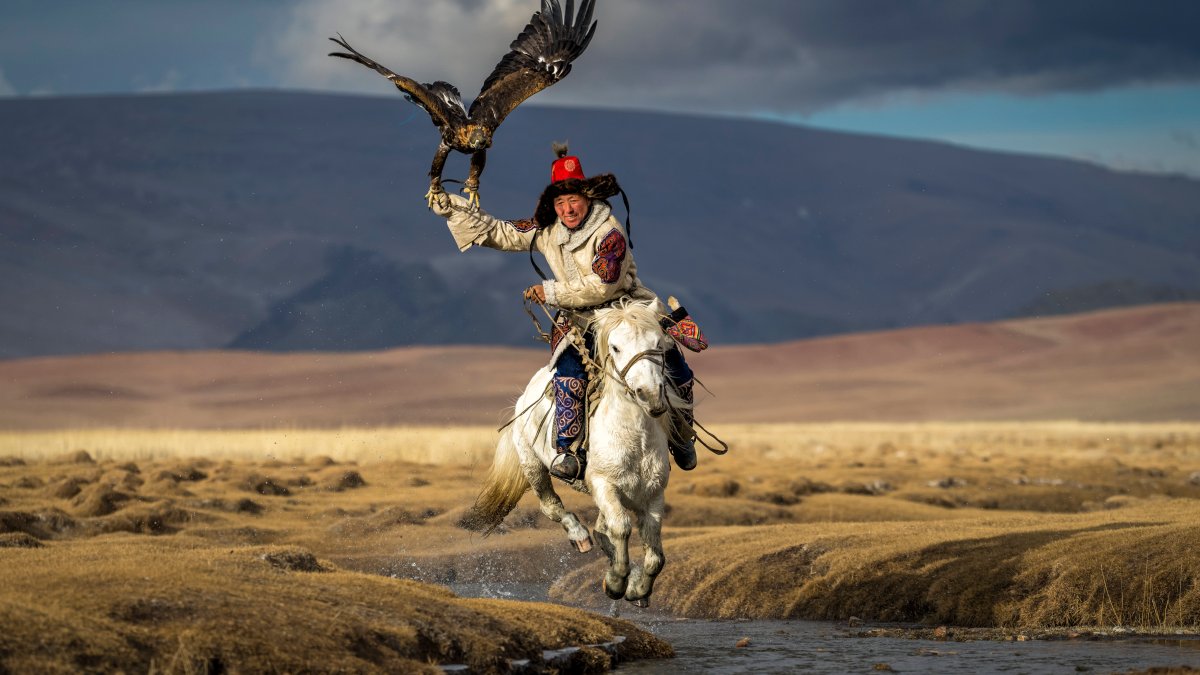 See the Photos That Won National Geographic's 'Pictures of the Year' Contest – NBC4 Washington - Vimarsana News
