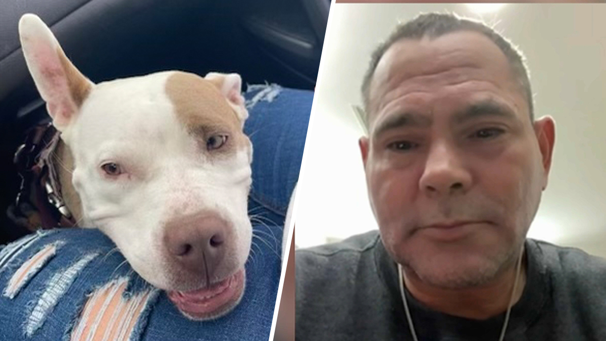 Man Dragged by Metro Train Was Inseparable From Service Dog, Family ...