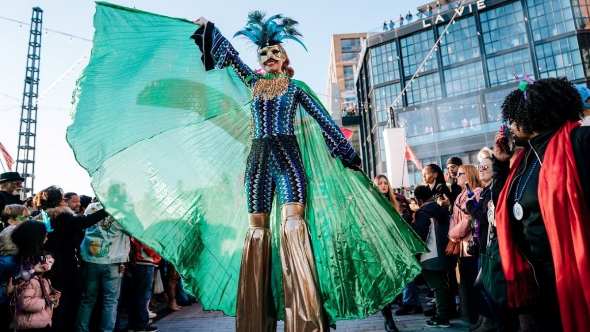 dc mardi gras princess