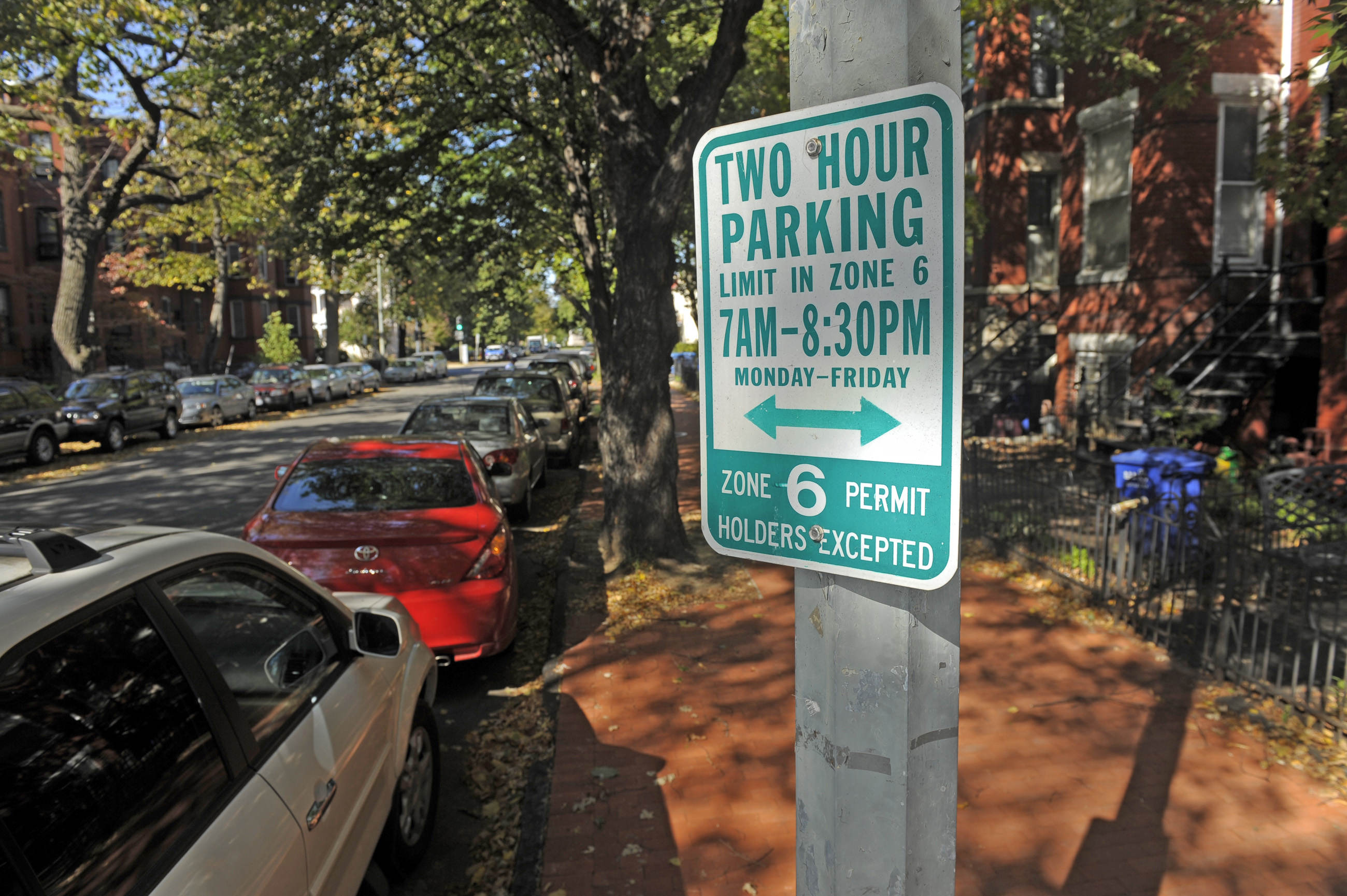 Parking Near the Tidal Basin in Washington DC for Cherry Blossoms