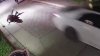 Video Shows Florida Police Officer Being Thrown Into Air By Stolen Car