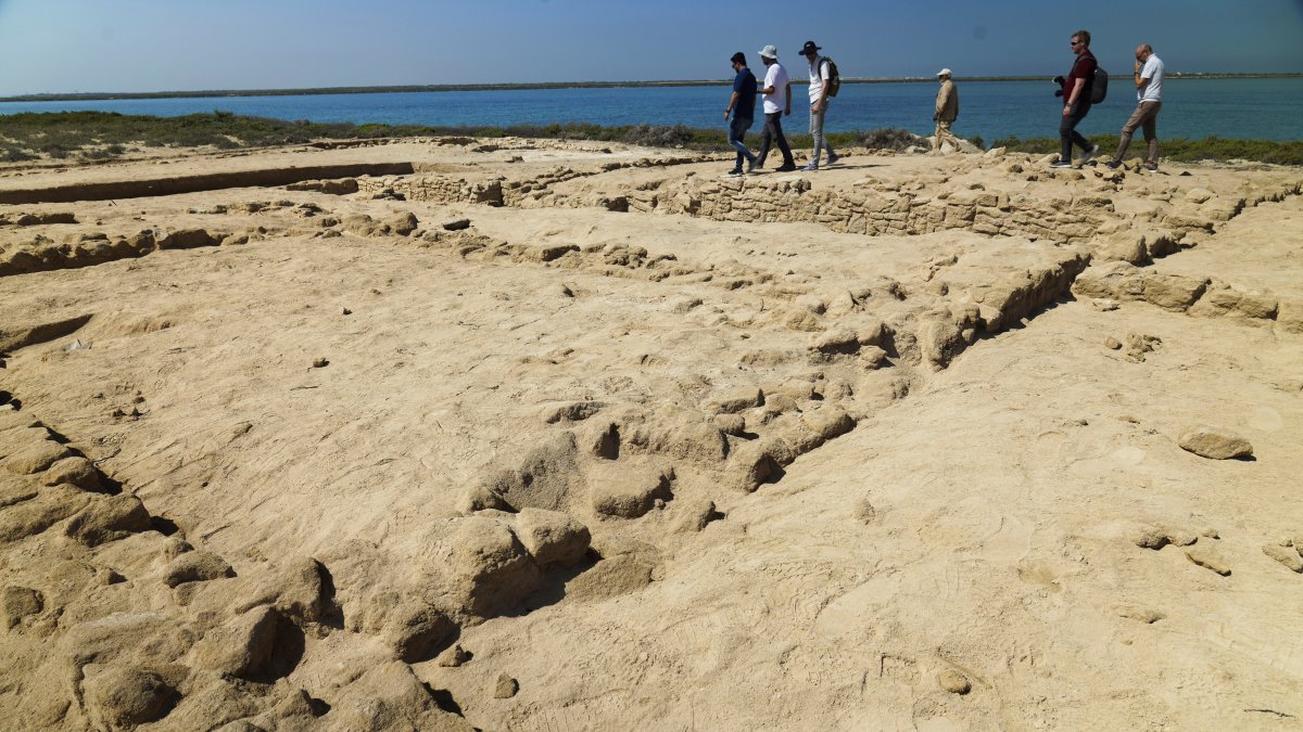 Archaeologists Find Oldest Pearl Town in Persian Gulf – NBC4 Washington - Vimarsana News