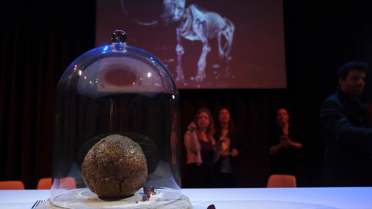 Startup Unveils Meatball Made With Mammoth DNA – NBC4 Washington - Vimarsana News