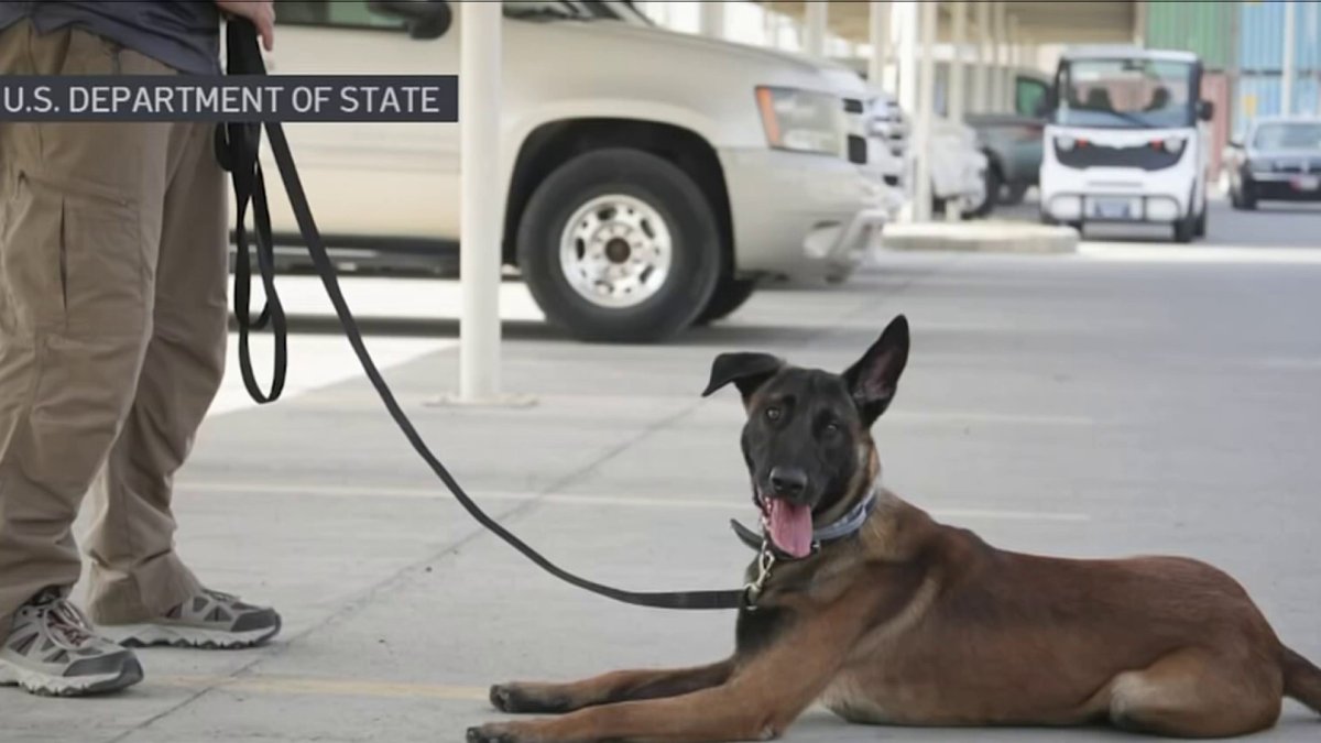 State Dept. K-9s Adopted by Local Law Enforcement Agencies - Vimarsana News