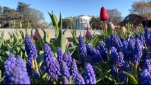 white house garden tour