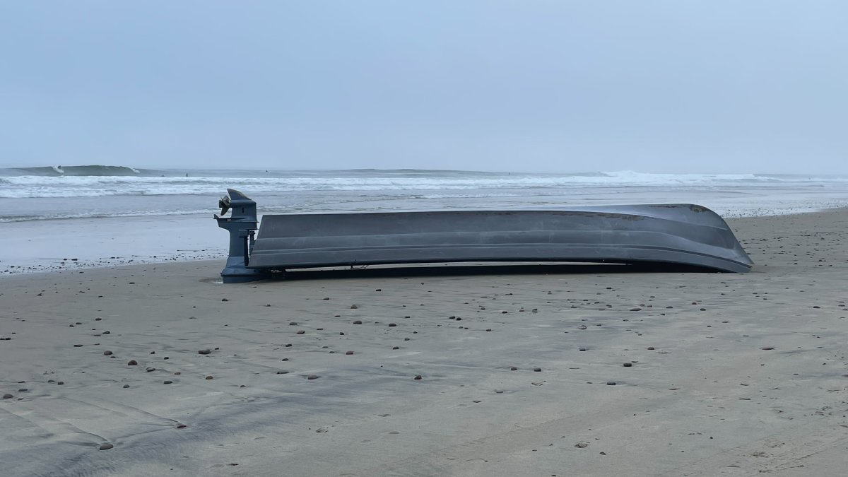 8 Dead After Panga Boat Capsizes at Black's Beach: SDFD – NBC4 Washington - Vimarsana News