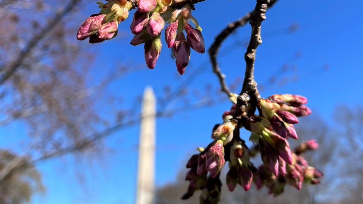 www.nbcwashington.com